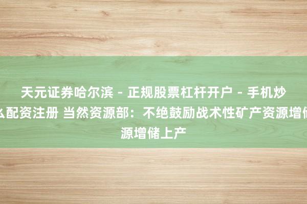 天元证券哈尔滨 - 正规股票杠杆开户 - 手机炒股怎么配资注册 当然资源部：不绝鼓励战术性矿产资源增储上产