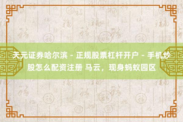 天元证券哈尔滨 - 正规股票杠杆开户 - 手机炒股怎么配资注册 马云，现身蚂蚁园区
