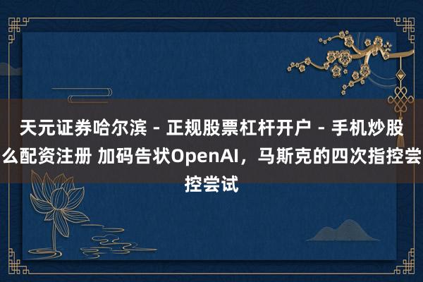 天元证券哈尔滨 - 正规股票杠杆开户 - 手机炒股怎么配资注册 加码告状OpenAI，马斯克的四次指控尝试