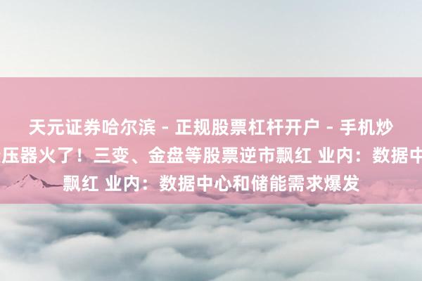 天元证券哈尔滨 - 正规股票杠杆开户 - 手机炒股怎么配资注册 变压器火了！三变、金盘等股票逆市飘红 业内：数据中心和储能需求爆发
