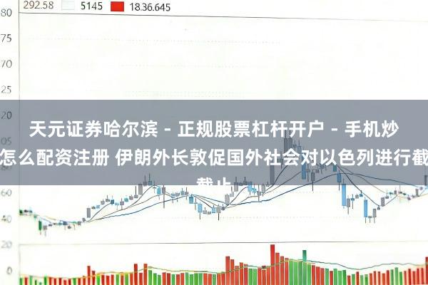 天元证券哈尔滨 - 正规股票杠杆开户 - 手机炒股怎么配资注册 伊朗外长敦促国外社会对以色列进行截止