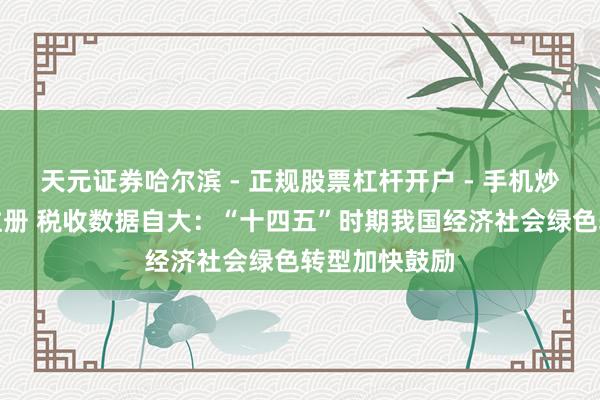 天元证券哈尔滨 - 正规股票杠杆开户 - 手机炒股怎么配资注册 税收数据自大：“十四五”时期我国经济社会绿色转型加快鼓励