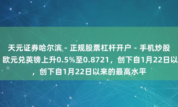天元证券哈尔滨 - 正规股票杠杆开户 - 手机炒股怎么配资注册 欧元兑英镑上升0.5%至0.8721，创下自1月22日以来的最高水平