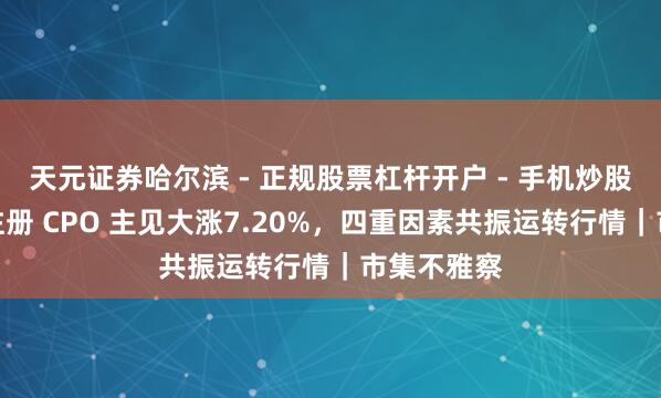 天元证券哈尔滨 - 正规股票杠杆开户 - 手机炒股怎么配资注册 CPO 主见大涨7.20%，四重因素共振运转行情｜市集不雅察